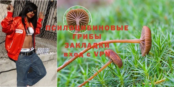 соль курить ск Алзамай