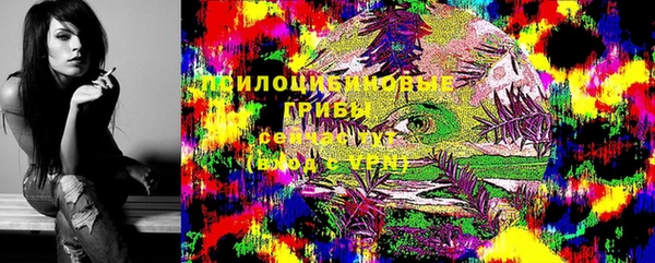 прущие крисы Алексин