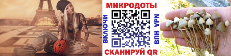 Псилоцибиновые грибы Psilocybe  дарнет шоп  Отрадная 